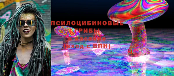 шишки Балахна